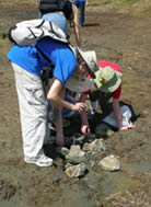 Fossil hunting