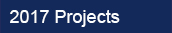 2017 projects