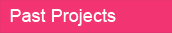 Past Projects